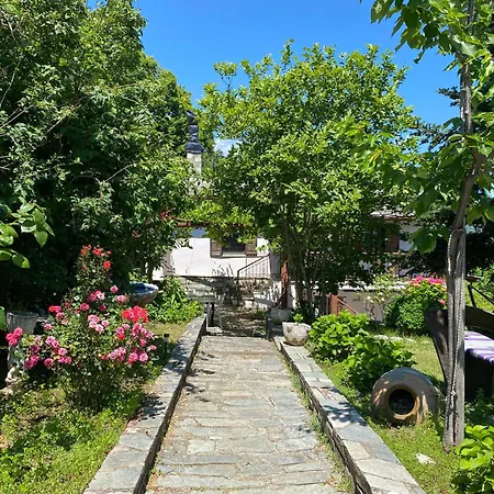Feriehus My Kind Of Paradise ! ! Pelion