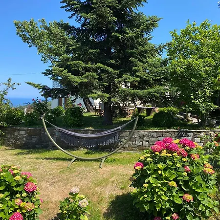 My Kind Of Paradise ! ! Pelion * Mourésion